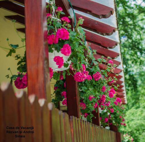 Hostal Casa De Vacanta Razvan Si Andrei