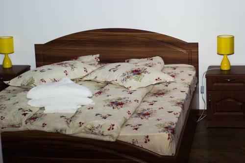 Hostal Pensiunea Daria