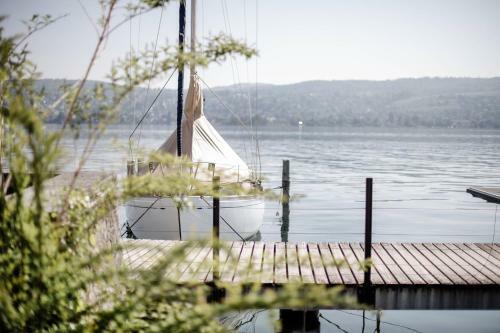 Hotel Alex Lake Zurich