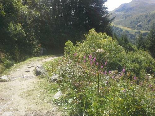 Apartamento Studio Le Plan Clou