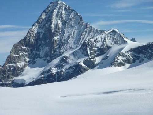 Le Chamois