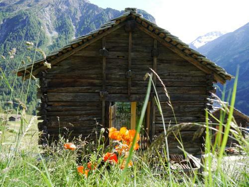 Anakolodge