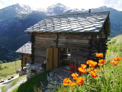 Anakolodge
