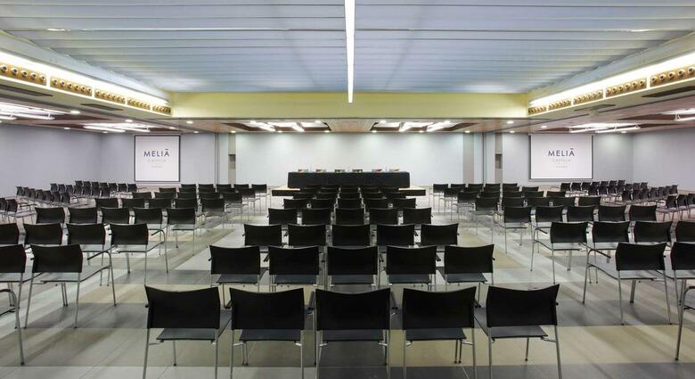 Hotel Meli� Castilla