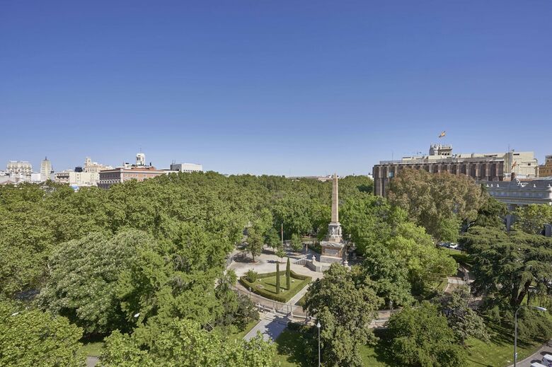 Hotel Mandarin Oriental, Ritz Madrid