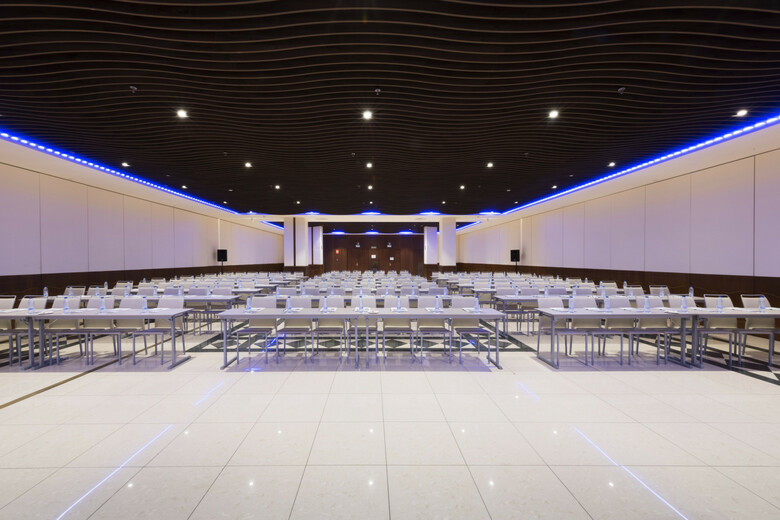 Hotel Elba Madrid Alcal�