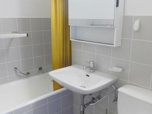 Hotel Apartment Rosablanche C14