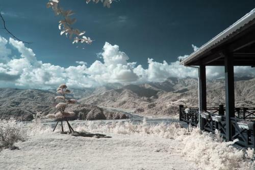 Yu Lan 99