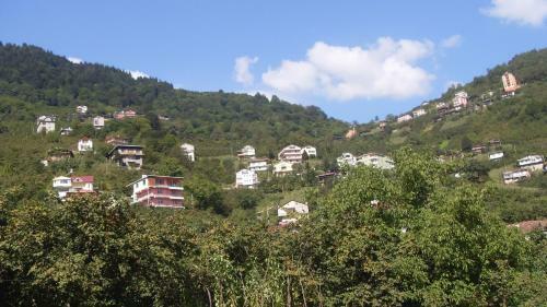 Atak�y Apart