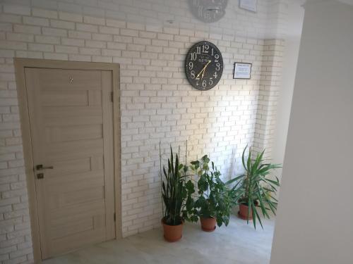 Posada Kosmos 519