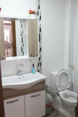 Rooster Hostel