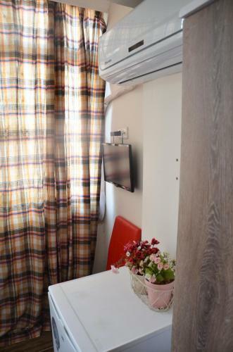 Rooster Hostel