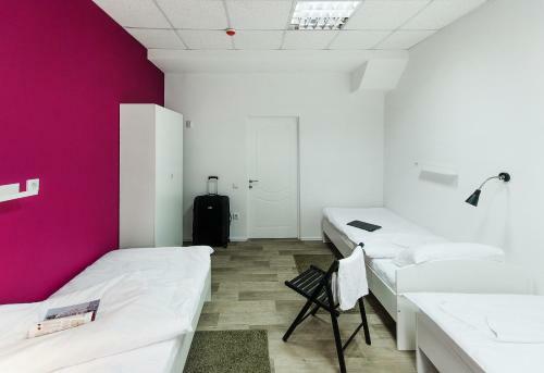 Maxi House Hostel