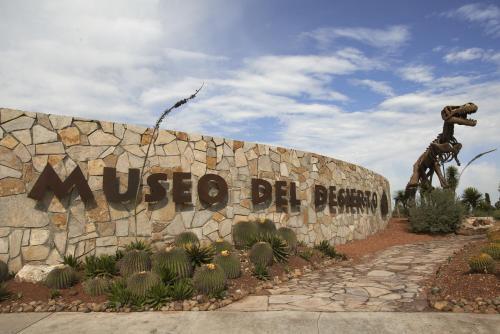 Hotel Fairfield Inn & Suites Saltillo