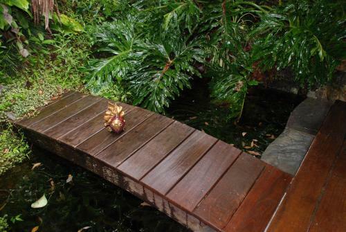 Lodge Mt Warning Rainforest Retreat