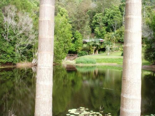 Lodge Mt Warning Rainforest Retreat
