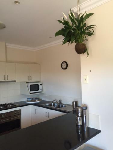 Apartamento Salt Air On Lochard Place