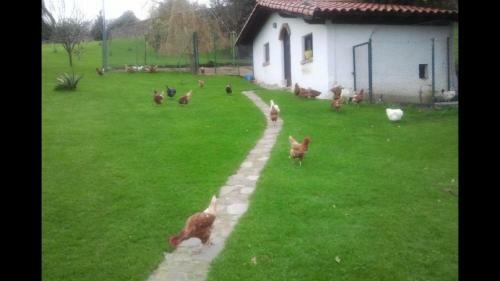 Agroturismo El Terrero