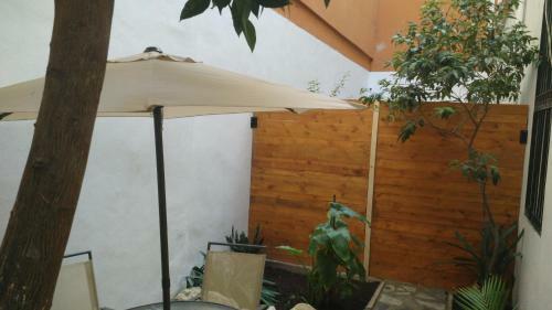 Apartamentos Fernando El Catolico