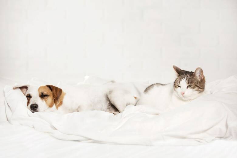 Hotel Gouverneur Trois-rivieres