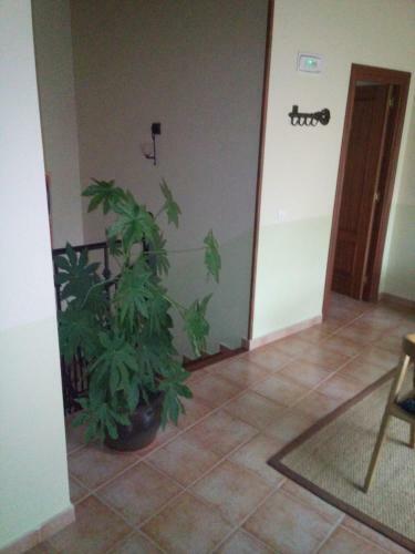 Hostal Posada La Canal