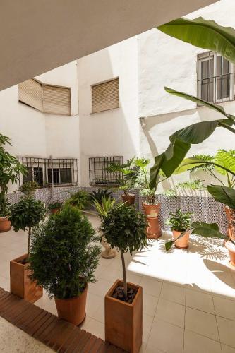 Urbanchic Parras Apartment