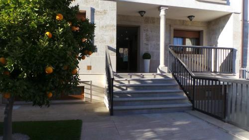 Orange Tree�s House
