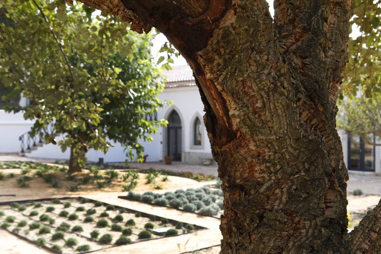 Hotel Casa Palmela