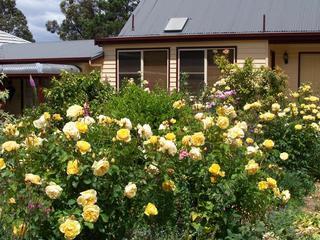 Hotel Donalea Bed & Breakfast Castle Forbes Bay