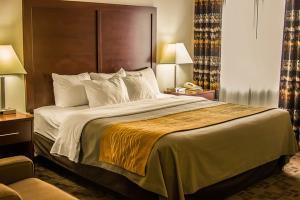 Hotel Comfort Inn