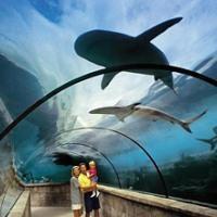 Hotel Atlantis Beach Tower