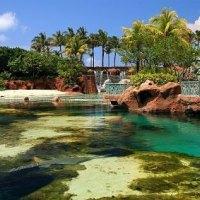 Hotel Atlantis Beach Tower