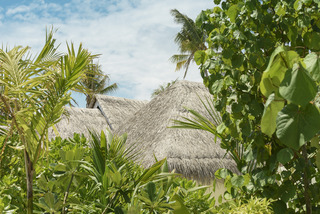 Hotel Dhigufaru Island Resort