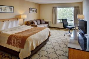Hotel Comfort Inn Rock Forest