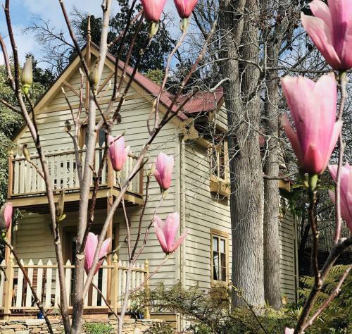 Aldgate Creek Cottage Bed And Breakfast