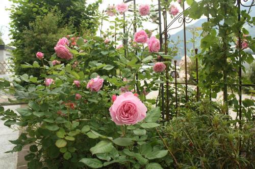 Bed & Breakfast Landlust Ischl