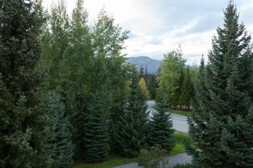 Apartamentos Greystone Lodge By Whistler Accommodation