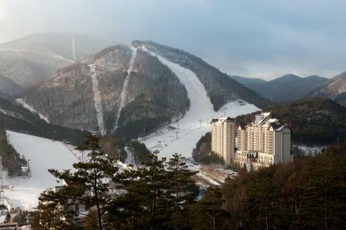 Hotel Yongpyong Resort Tower Condo
