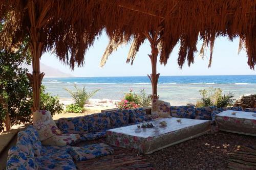 Bedouin Star (ras Shetan Area)