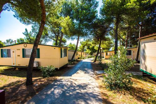 Camping Indije