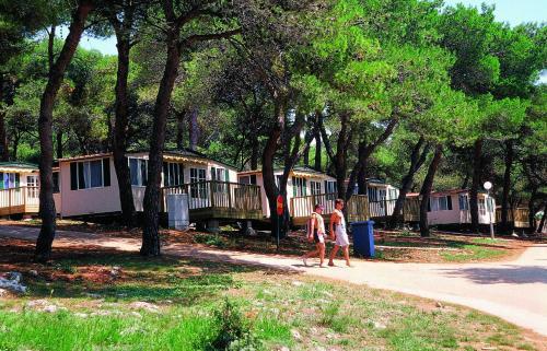 Camping Indije