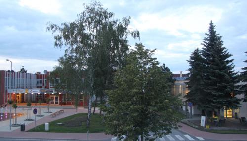 Hotel Villa Green
