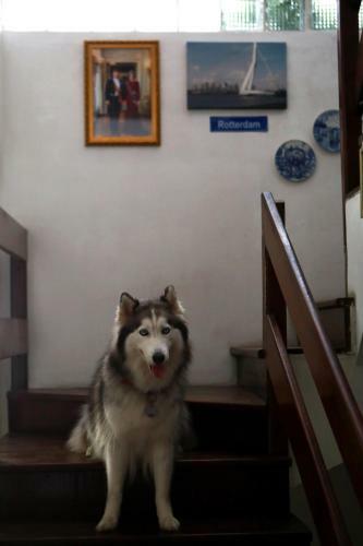 Kruger Home