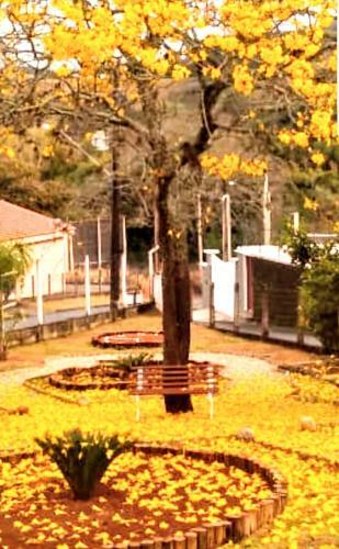 Hostal Pousada Flores Do Campo