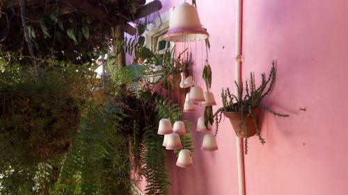 Hostal Encanto�s Pousada