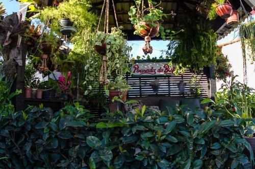 Hostal Cama E Caf� Pousada Do Bispo