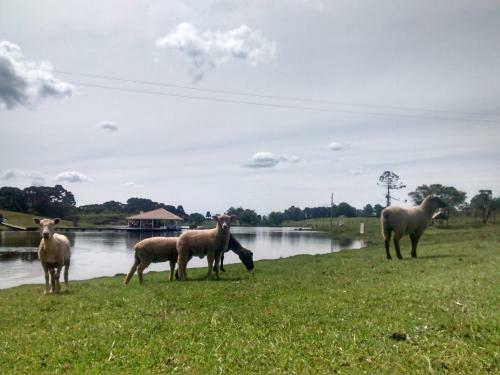 Lodge Chal�s Rinc�o Comprido