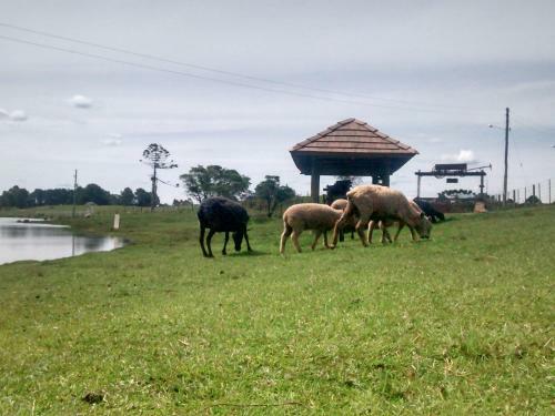 Lodge Chal�s Rinc�o Comprido