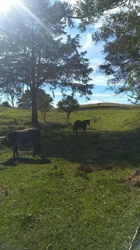 Lodge Chal�s Rinc�o Comprido