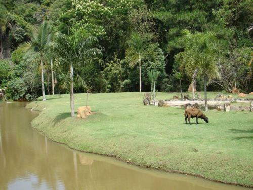 Hotel Camping Quedasdagua